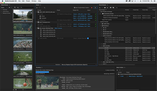 Программное обеспечение разработки - Media Encoder - ADOBE - для управления / публикации / облачная среда