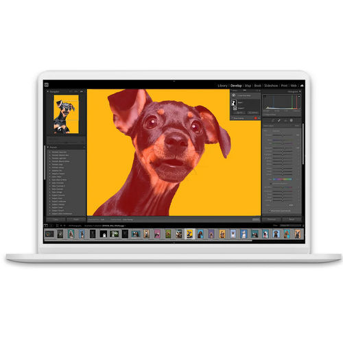 Программное обеспечение для управления - Lightroom Classic - ADOBE - издания / изображения / цвета