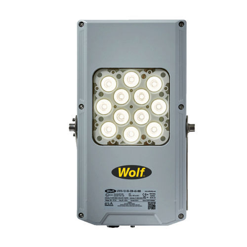Прожектор для опасных зон - LFX1 series - Wolf Safety Lamp Company - светодиодный / IECEx / IP66