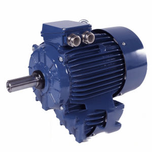Двигатель мультискоростной - Sh80-4/2BW - Cantoni Motor - индукционный / трехфазовый / 400 В