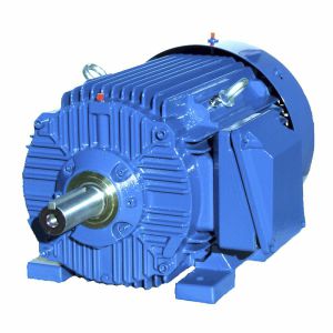 Двигатель NEMA - SIE284TS2 - Cantoni Motor - индукционный / трехфазовый / 460 В