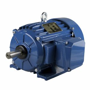 Двигатель NEMA - ESg145T-4A - Cantoni Motor - индукционный / трехфазовый / 460 В