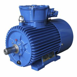 Синхронный двигатель - dSg80-2A - Cantoni Motor - трехфазовый / 1000V / из чугуна