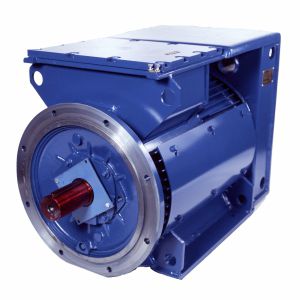 Синхронный двигатель - 3SGf250M2A-E - Cantoni Motor - трехфазовый / 500 V / IP56