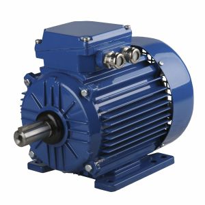 Синхронный двигатель - ExSh90S-2-3G T4 - Cantoni Motor - трехфазовый / 400 В / из алюминия
