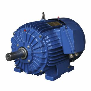 Синхронный двигатель - ExSg112M-6-2G T4/2D - Cantoni Motor - трехфазовый / 400 В / из алюминия