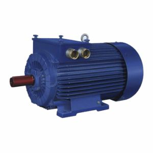 Двигатель для подъемного крана - SUDg355L10B - Cantoni Motor - синхронный / трехфазовый / 380 В