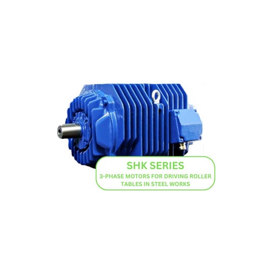 Асинхронный двигатель - SHK series - Cantoni Motor - 3-фазный / 550 В / IP44