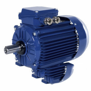 Двигатель IE2 - 2SIE80-2A - Cantoni Motor - индукционный / трехфазовый / 400 В
