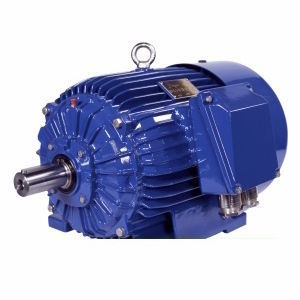 Двигатель IE1 - Sh63-4B - Cantoni Motor - индукционный / трехфазовый / 400 В