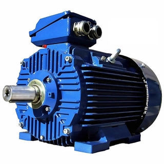 Индукционный двигатель - 3SIE80-2A - Cantoni Motor - AC / 400 В / 380 В