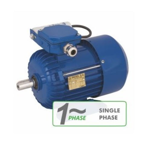 Индукционный двигатель - 3SSIE series - Cantoni Motor - монофазовый / 230 В / IP55