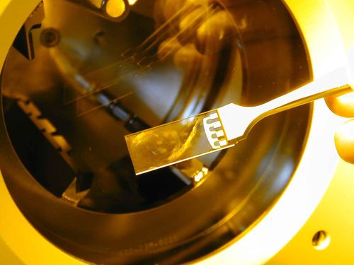 Оптический компонент по спецификации - ioNext - TEEM PHOTONICS - для интерфейса