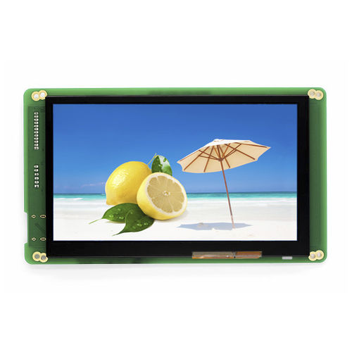 Блок индикации 7" - LMT070DAMFWA-NFD - TOPWAY LCD - TFT LCD / с сенсорным экраном PCT / цветной