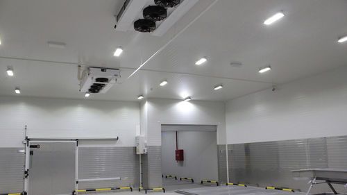 Освещение светильник - CANTEK Cold Storage - Meat Processing - светодиодное / флуоресцентное