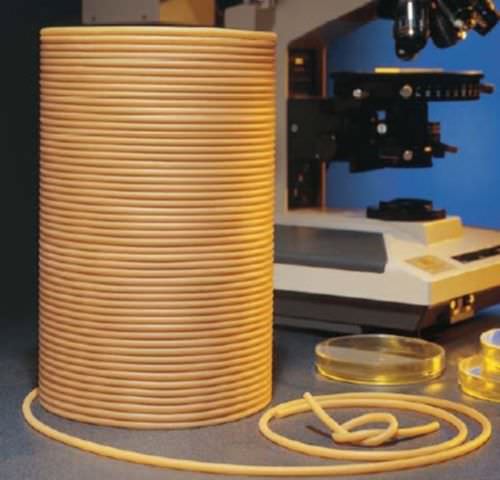 Гибкий шланг для продуктов питания - Versilon™ GA  - Saint-Gobain Performance Plastics - Process System - из натурального каучука / для передачи / для очистки