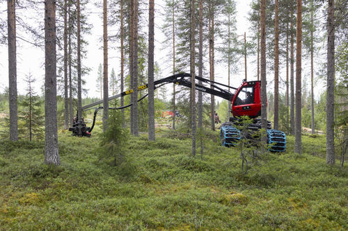 Колесная лесозаготовительная машина - 901XC-7 - KOMATSU Forest