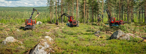 Грузовик для лесозаготовительных работ - 895-4 - KOMATSU Forest