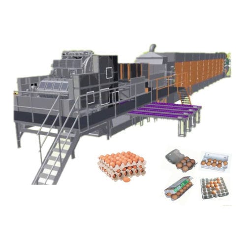 Производственная установка для контейнера для яиц - HRD series - Longkou City Hongrun Packing Machinery Co., Ltd. - для упаковочной машины