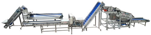 Линия обработки для кукурузы - TABANLI MAKINA SAN VE TIC LTD STI