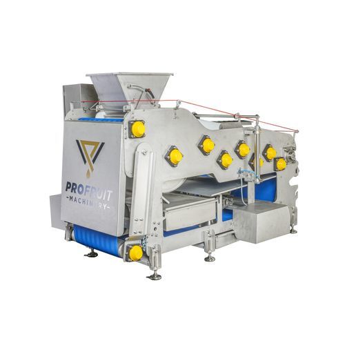 Ленточный пресс для фруктов - POWERPRESS 800 - ProFruit Machinery - для пищевой промышленности