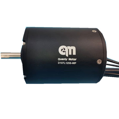 Двигатель BLDC - D107L125-WP - Dongguan Tengfei Power Technology Co., Ltd. - DC / 20 В / 80 V