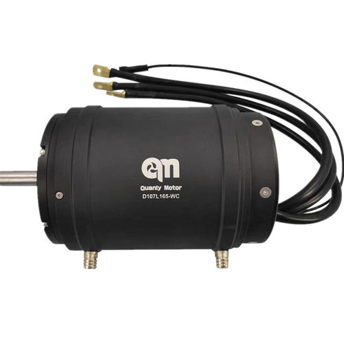 Бесщеточный двигатель - D107L165-WC - Dongguan Tengfei Power Technology Co., Ltd. - DC / 110V / 20 В