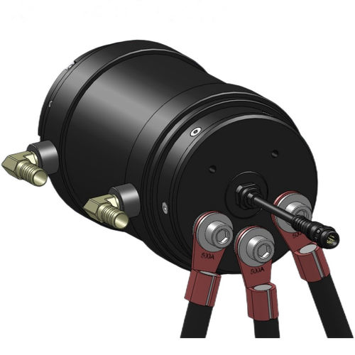 Бесщеточный двигатель - D107L200S-WCP - Dongguan Tengfei Power Technology Co., Ltd. - DC / 160 V / 30 В