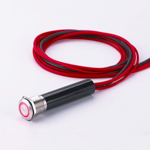 Антивандальный переключатель - L19Y - YUEQING DANPU ELECTRIC ( LANGIR ) CO.,LTD. - сенсорный / однополюсный / прочный