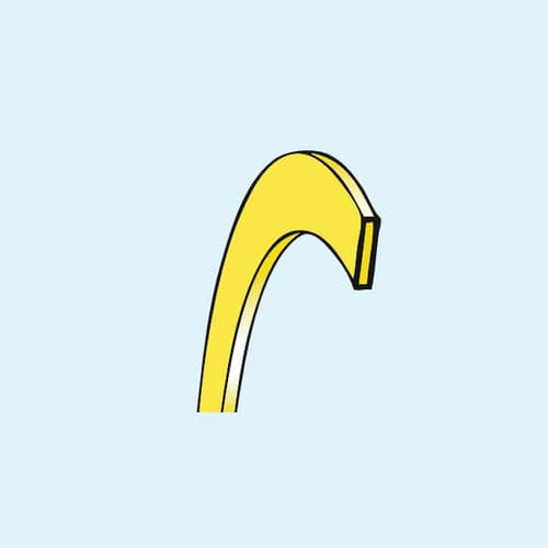 Демпфирующее кольцо из ПТФЭ - RAE  - ARTIC SEALS
