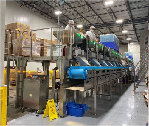 Система для смешивания - PACKPLUS-MX6 - SEVVALUSA Nut Processing and Packaging Solutions