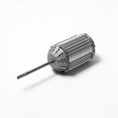 Бесщеточный двигатель - 110-100 - Zhejiang Xinli Electric Technology Co., Ltd. - DC / с постоянным током / синхронный