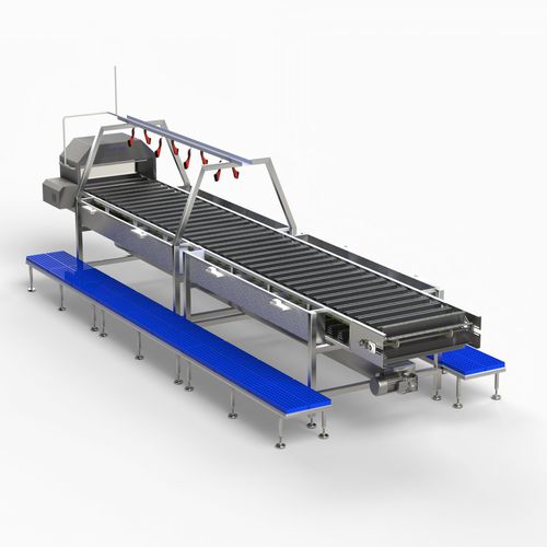 Машина для обрезания головы для рыбы - HIDRONER AQUACULTUR EQUIPMENTS