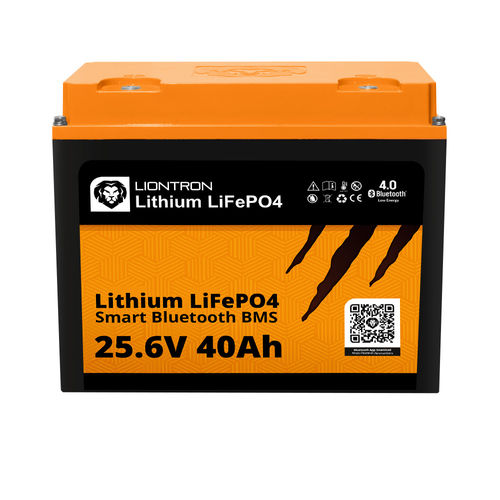 Аккумулятор LiFePO4 - LISMART2440LX  - Liontron Ltd. - для блока / M6 / CE