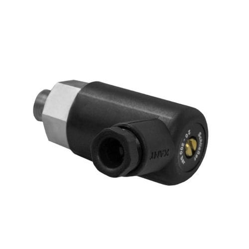Механический прессостат - DP-K-007-00000 series - Dosier- und Prüftechnik GmbH - G 1/4 / для жидкостей / для насоса