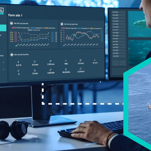 Программное обеспечение для анализа - Connected Seafarm - Krucial - для удаленного мониторинга состояния / для наблюдения / для анализа окружающей среды