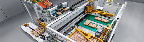 Штабелер со стопкоукладчиком - paletpac® - BEUMER Group GmbH & Co.KG - для гранул / для погрузно-разгрузочных работ / автоматический