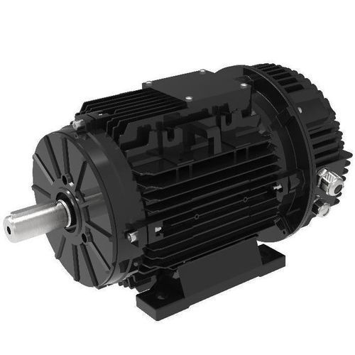 Синхронный двигатель - T100ECI - M&D (Motor and Drive) - с постоянными магнитами / IP55 / IP66
