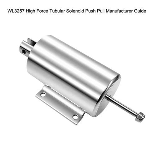 Электромагнит для электроклапана - WL3257 - Weilong Intelligent Technology (Dongguan) Co., Ltd. - поддерживающий / линейный / для блокировки