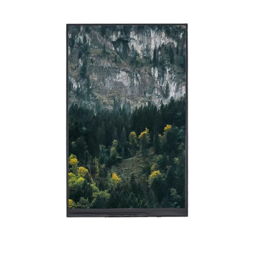 Блок индикации TFT LCD - YX09020542416BB - Shenzhen Yousee Technology Co., Ltd. - цветной / 1024x600 / 9"