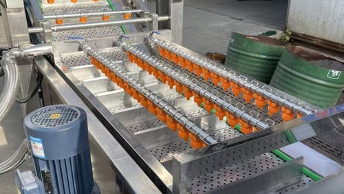 Машина для мойки овощей - Henan Hongtu Machinery Manufacturing Co., Ltd. - для фруктов / для шпината / для клубники