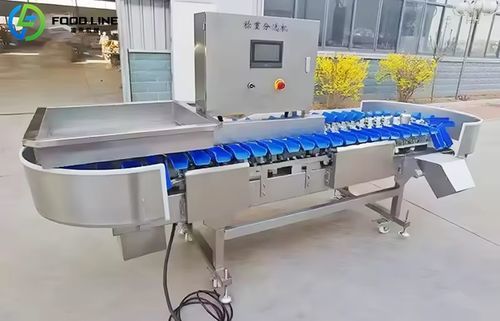 Калибратор для сортировки - FX100 - Henan Hongtu Machinery Manufacturing Co., Ltd. - для фруктов и овощей / для овощей / для фруктов