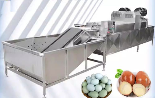 Машина для мойки пищевых продуктов для яиц - Henan Hongtu Machinery Manufacturing Co., Ltd. - автоматическая / с щеткой / промывки
