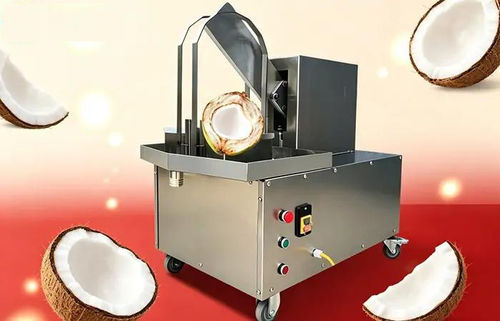 Машина для нарезки фруктов для кокосового ореха - FL-15 - Henan Hongtu Machinery Manufacturing Co., Ltd. - для продуктов питания / пополам / из нержавеющей стали