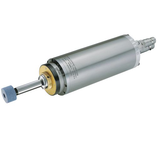 Электрошпиндель для шлифования - MFM-12 series - FISCHER AG - Präzisionsspindeln - моторизованный
