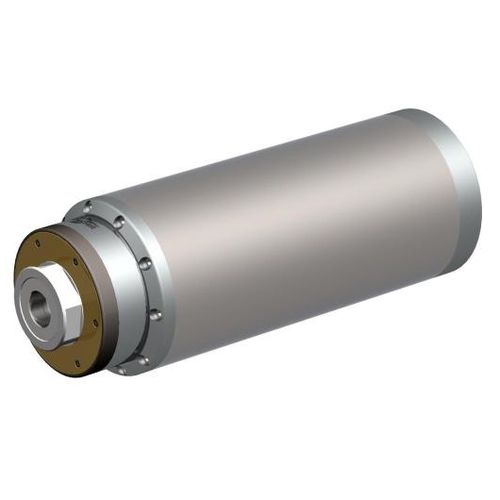 Электрошпиндель для шлифования - MFM-14 series - FISCHER AG - Präzisionsspindeln - моторизованный