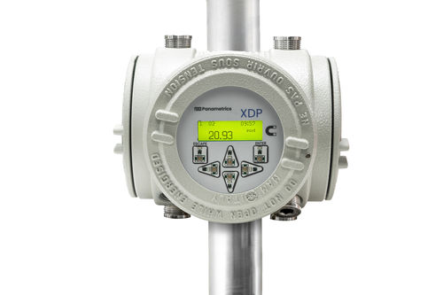 Табло LCD - XDP - Panametrics, a Baker Hughes business - цифровое / для газового счетчика / взрывозащищенное