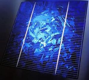 Поликристаллический элемент солнечной батареи - 125 x 125 mm - Maharishi Solar Technology - стандартный