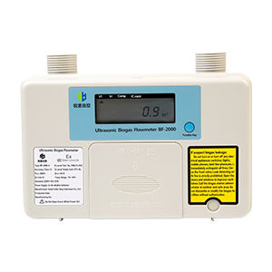 Цифровой газовый счетчик - BF-2000 - Cubic Sensor and Instrument Co.,Ltd - ультразвуковой