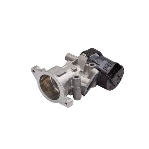 Клапан RGE - EGR - Delphi Power Train - поршневый / с электрическим приводом / для контроля расхода